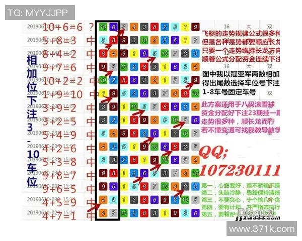 探索全年无错杀码公式的奥秘与实用技巧助你精准预测未来走势