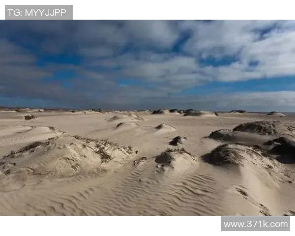 探索阿拉巴的历史文化与自然风光之美，感受独特的地方魅力与人文气息